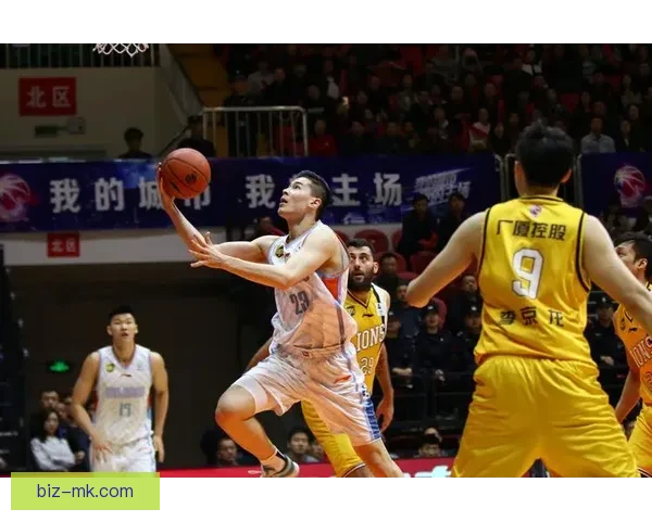 比约尔坚守乌迪内斯防线展现铁血防守精神成为球队稳固核心